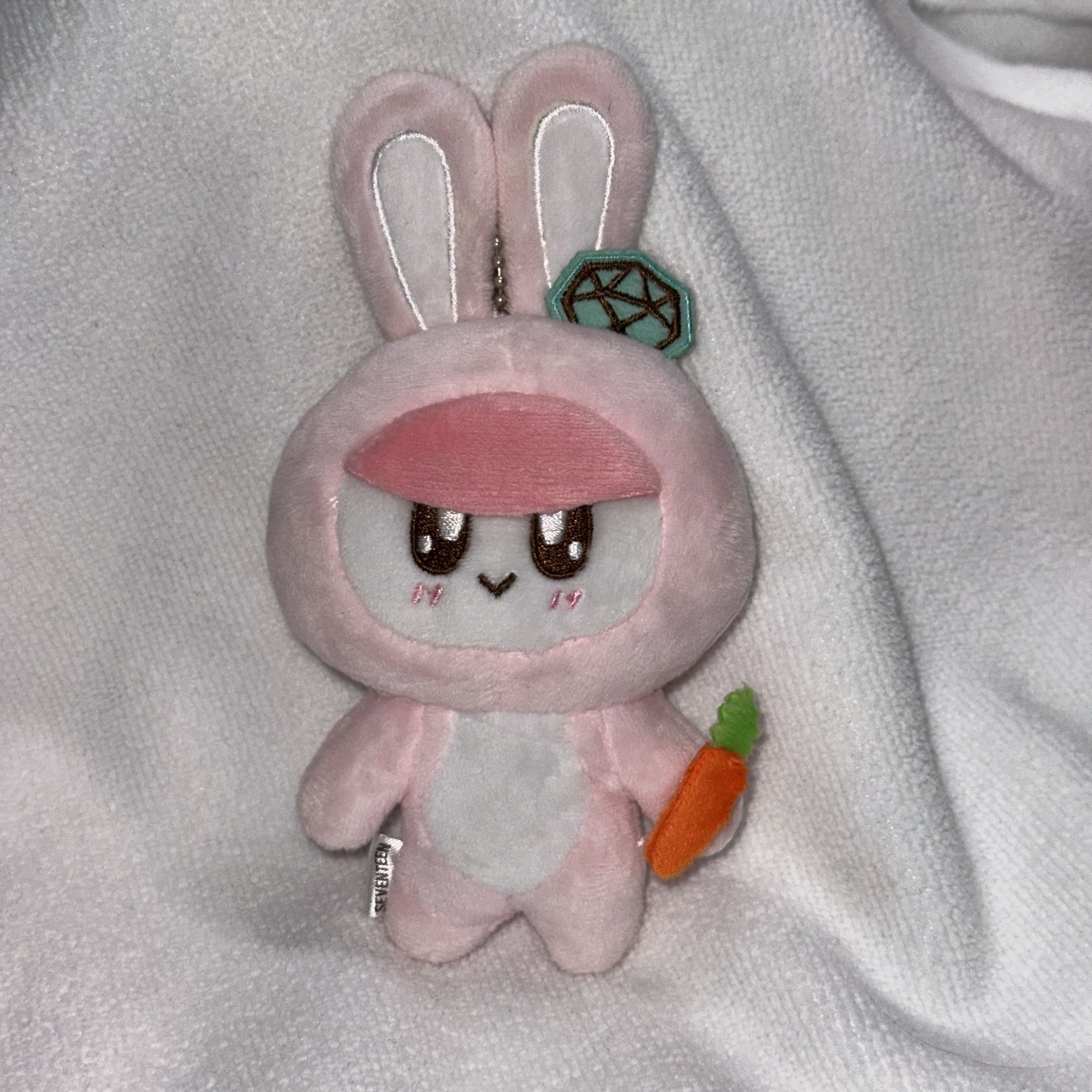 SEVENTEEN 日巡—兔子蹦蹦