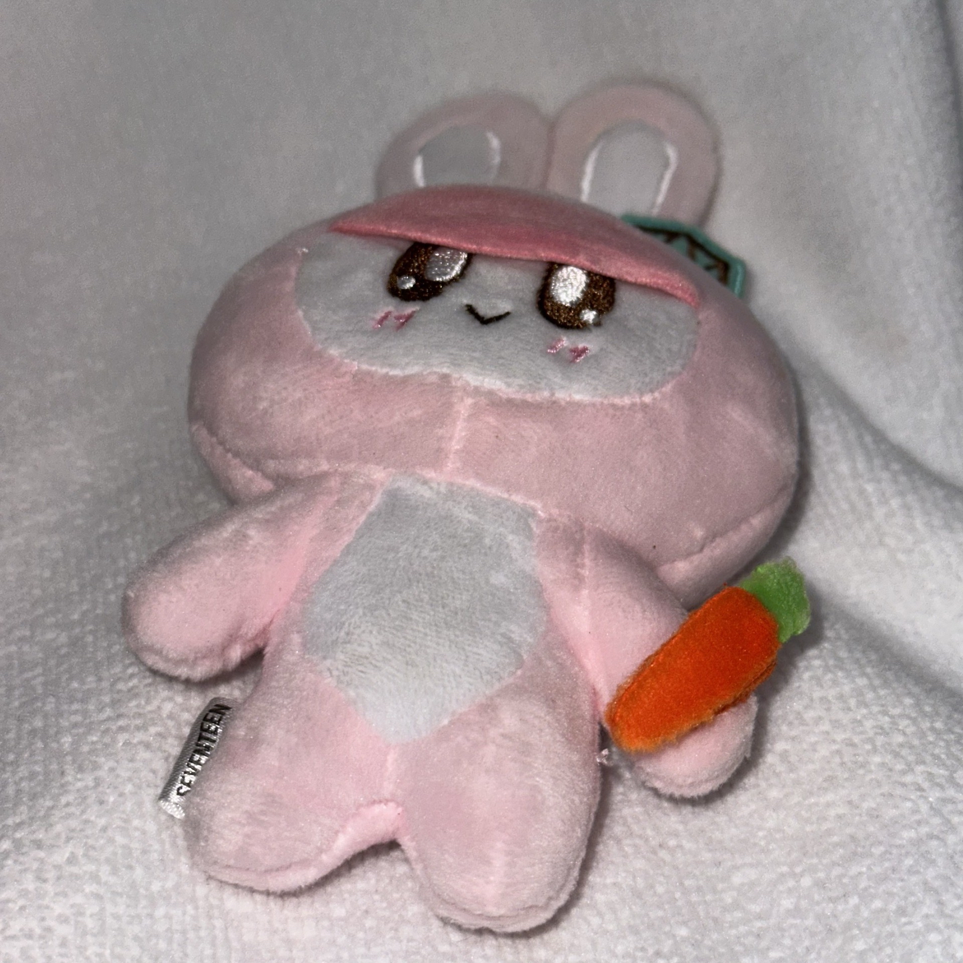 SEVENTEEN 日巡—兔子蹦蹦