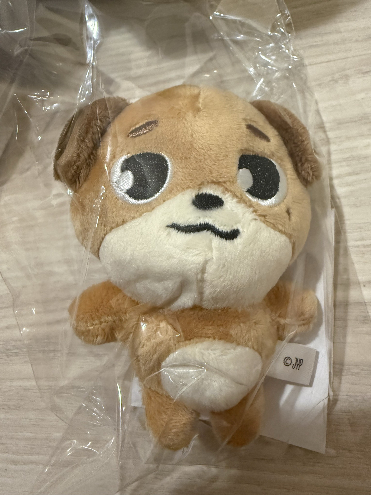 FOREVER YOUNG 日周11CM鍊條娃 DON