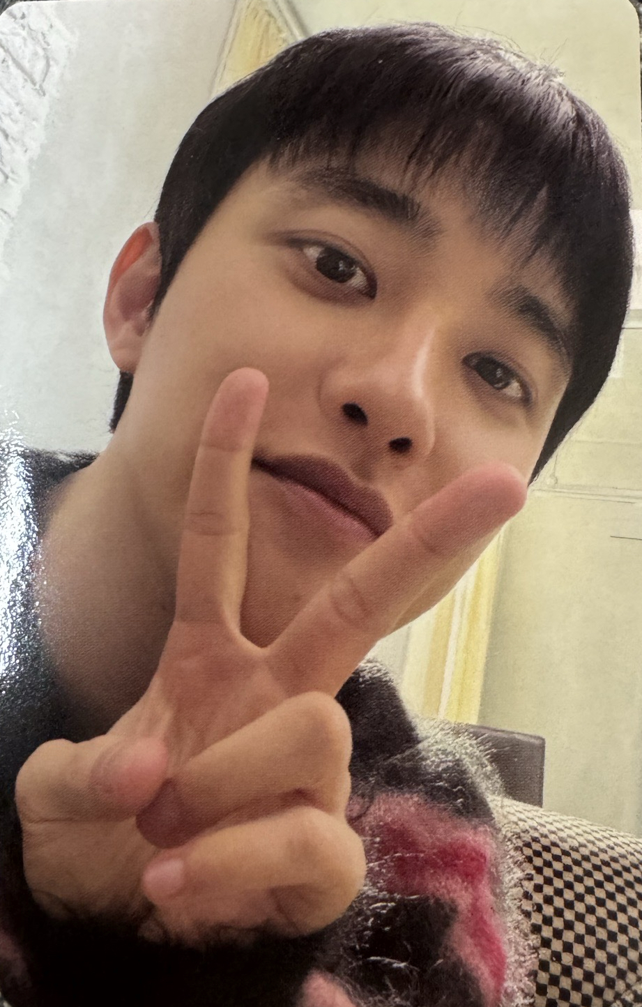 Reverxe big smini 專輯卡 D.O.