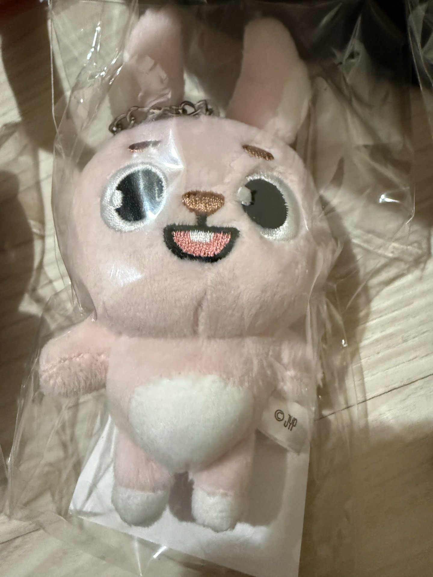 FOREVER YOUNG 日周11CM鍊條娃 PIL