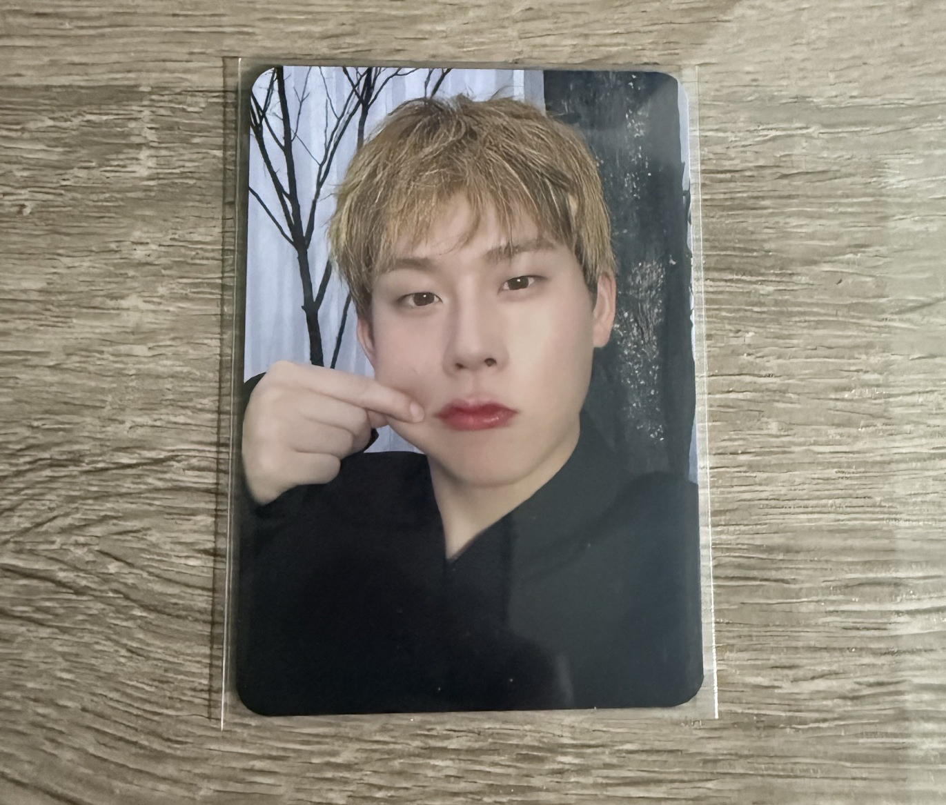 monsta x am 特典卡 周憲