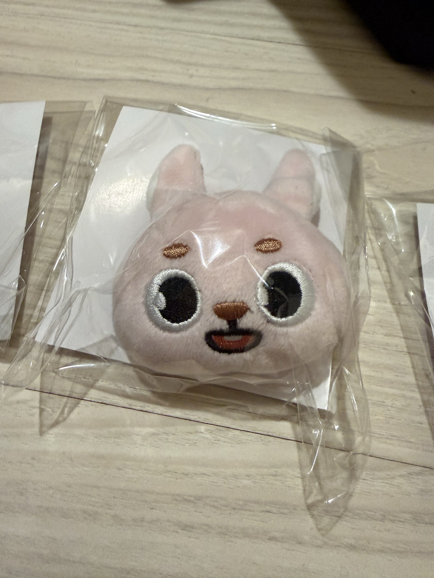 FOREVER YOUNG 日周大頭別針 PIL