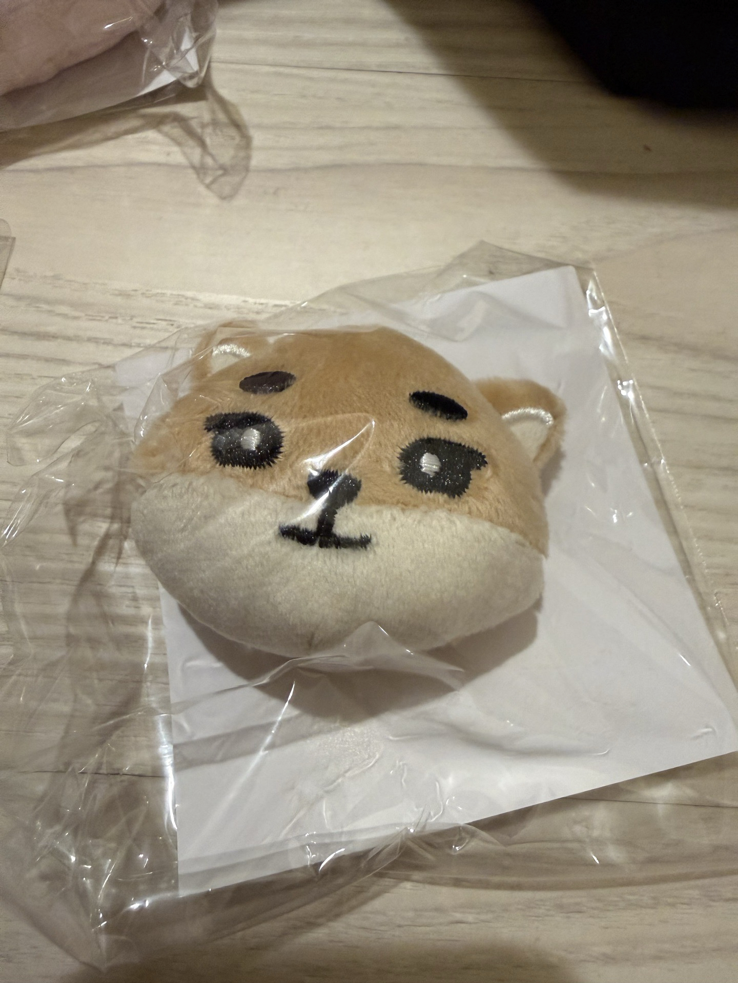 FOREVER YOUNG 日周大頭別針 KE