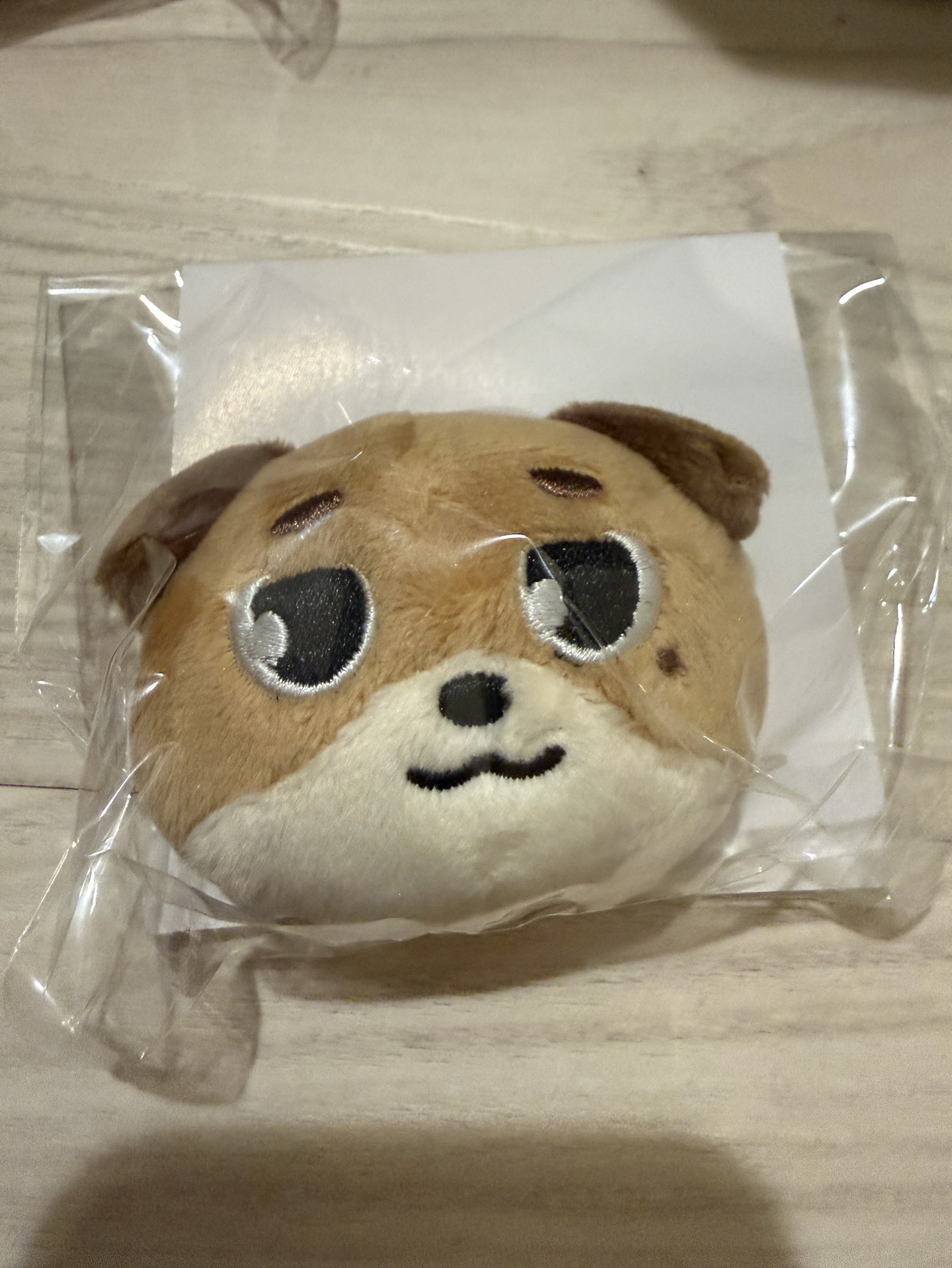 FOREVER YOUNG 日周大頭別針 DON