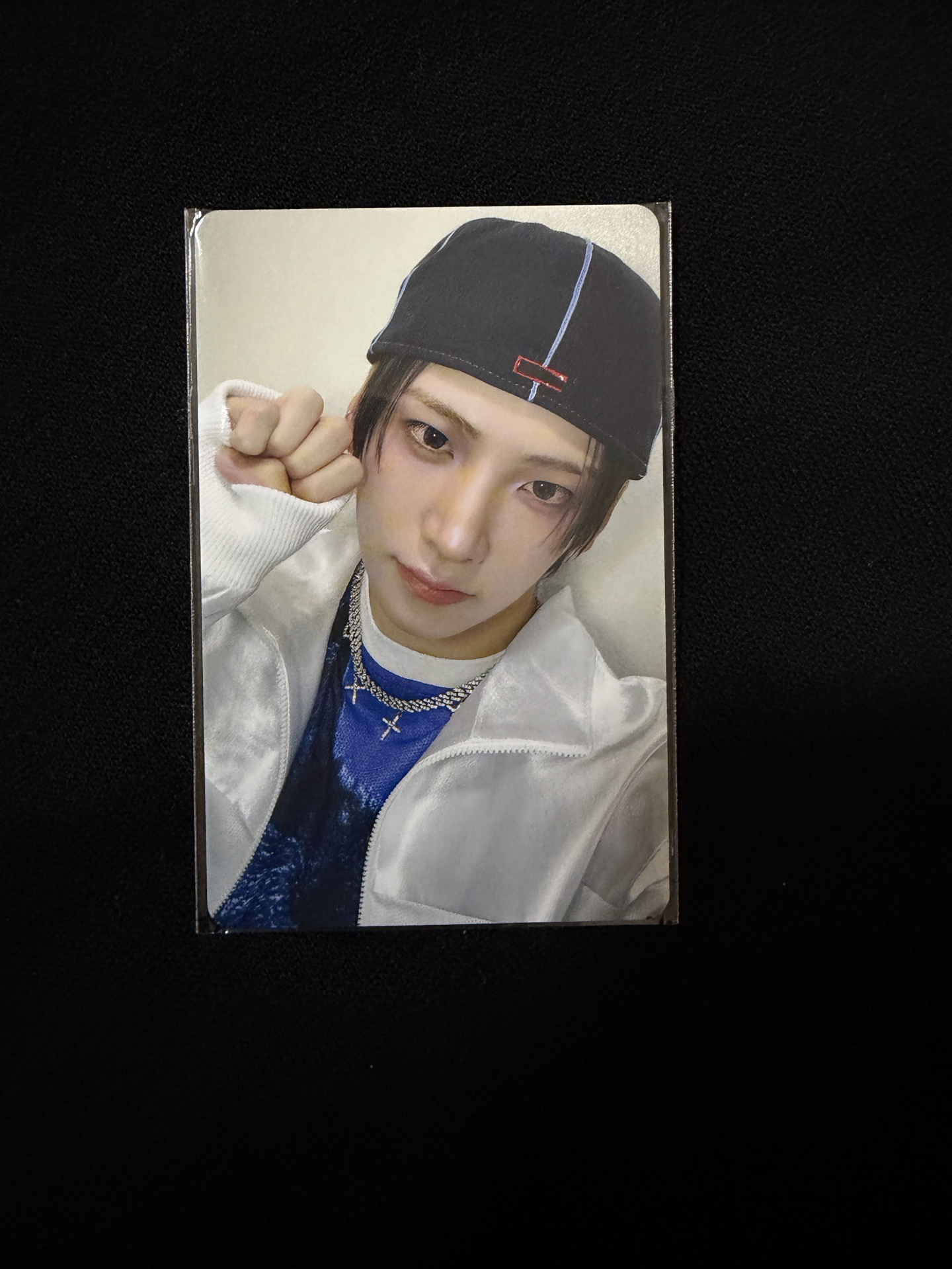 特典卡Fan Showcase live 🐱