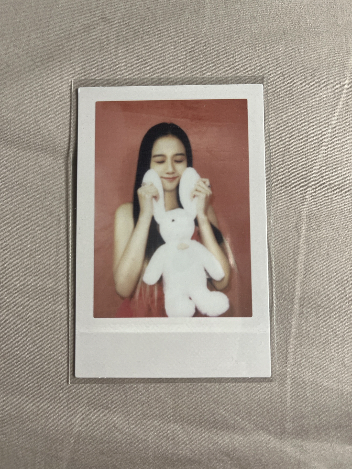 🐰萌萌兔子秀🐰