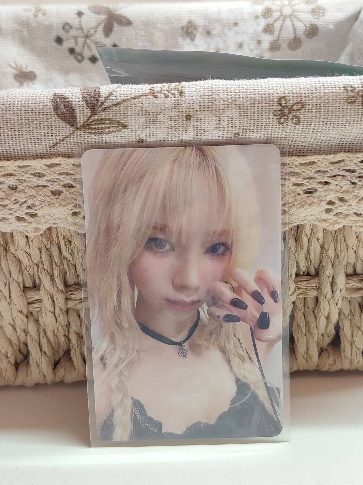 貓爪中背柚（我看到你们的喜欢）