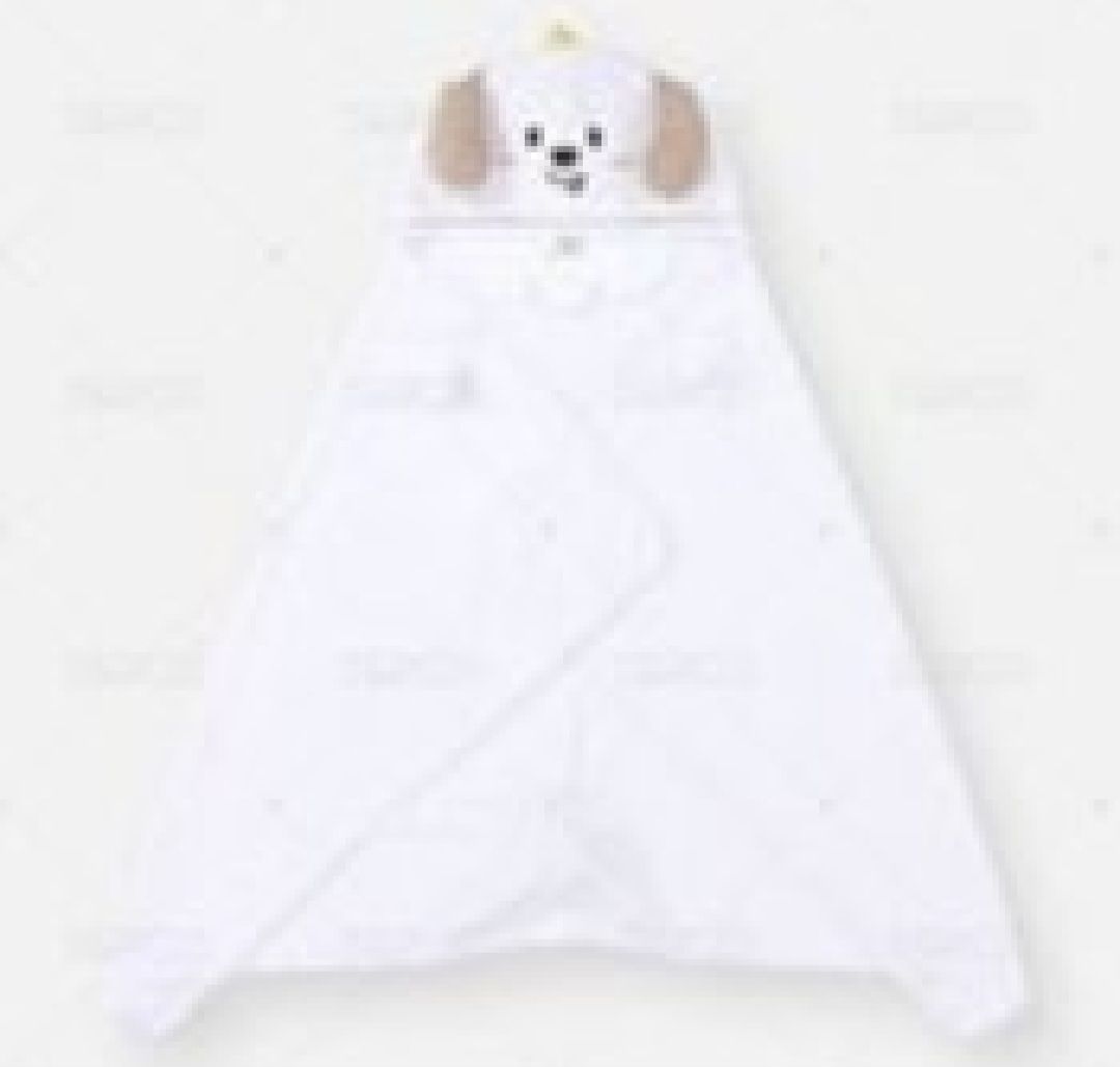 RIIZE韓國安可 狗龍毛毯