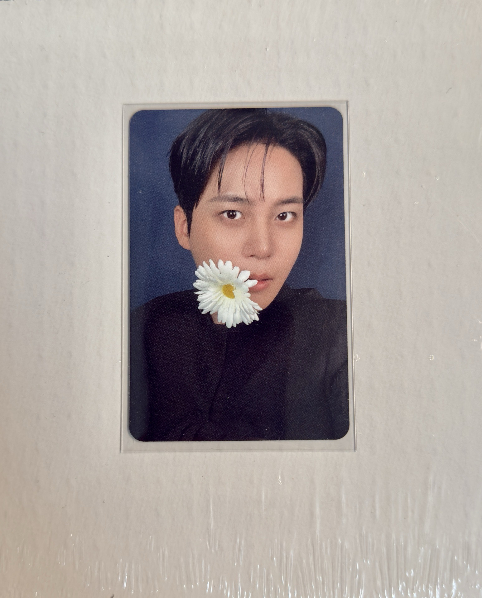 現貨AM(PB)誰是花ver. (含專）鍾