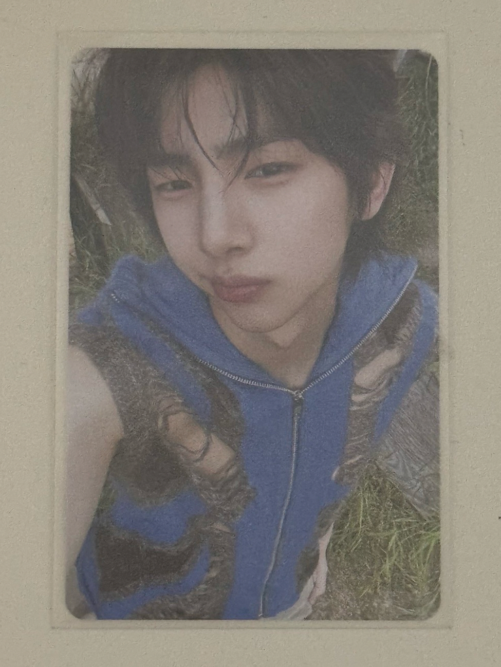 WVS 電子專A版 金主訓