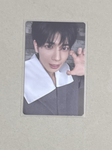 迷七 wvs特典 貓抓顯