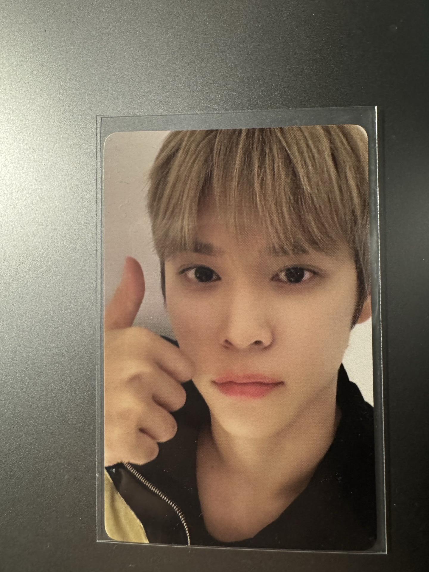 riize wonder land 上海快閃滿額卡 恩奭 anton 