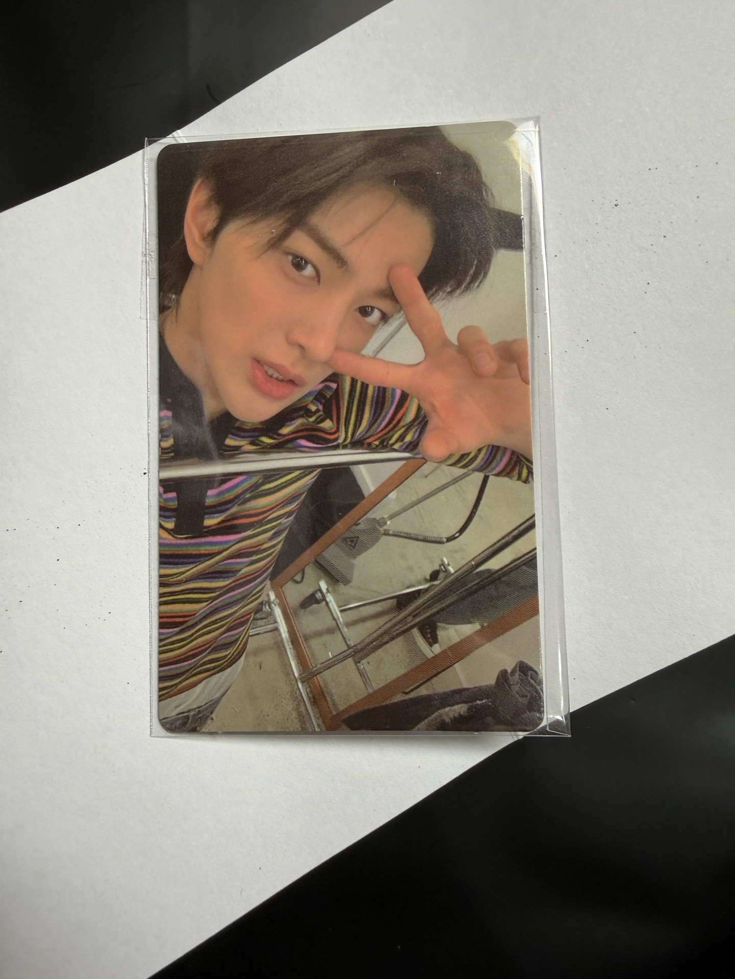 萌到沒邊的剪刀手小狗