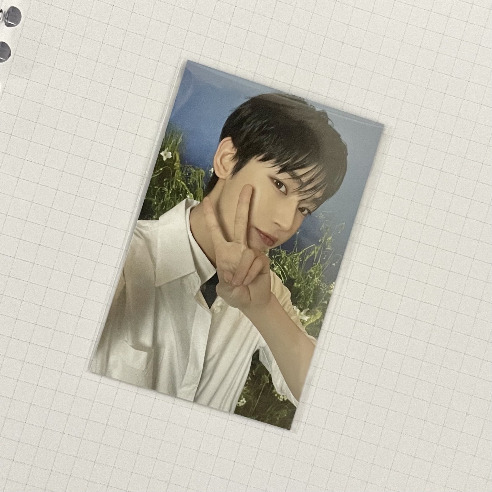 WTL FINAL wvs 滿額卡 善禹