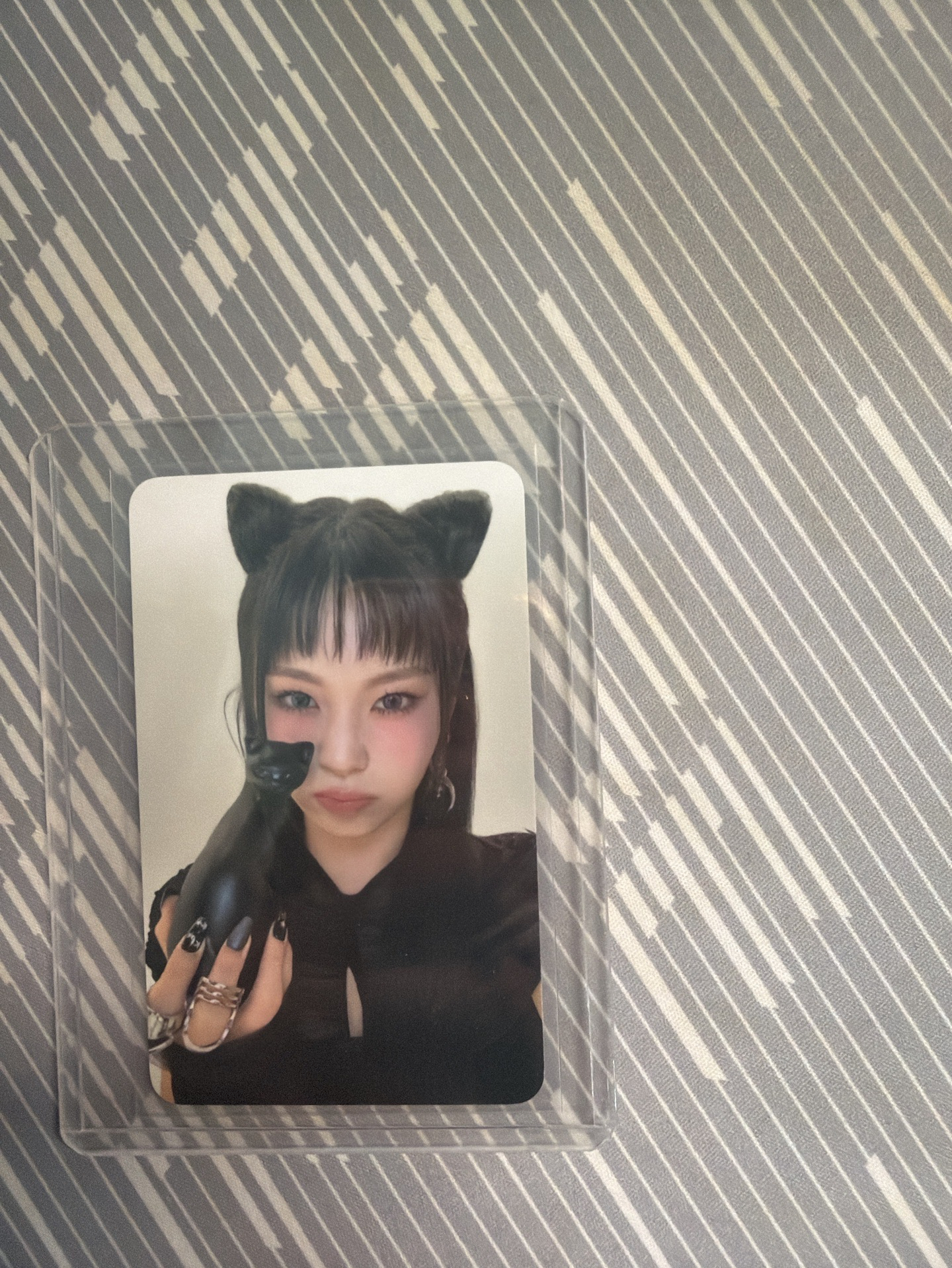 2025 年曆特典圭