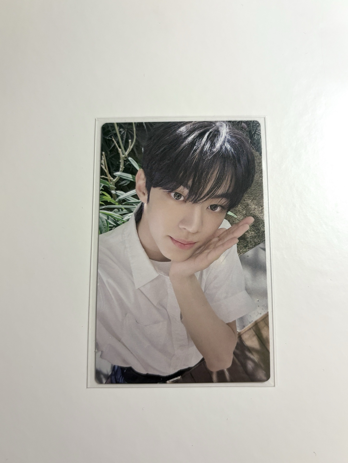 我是你的花朵🌷