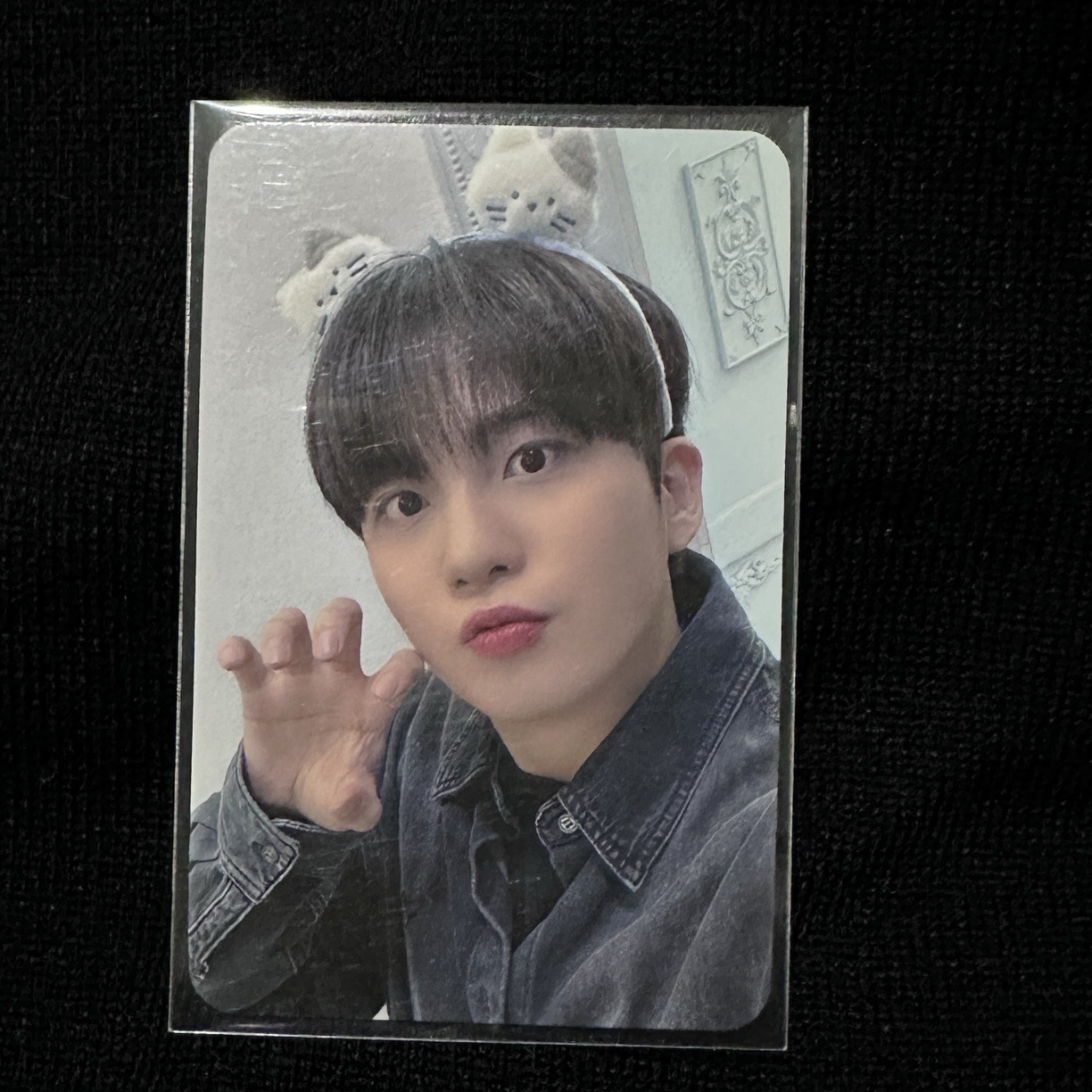 熊熊裝貓咪鍾浩