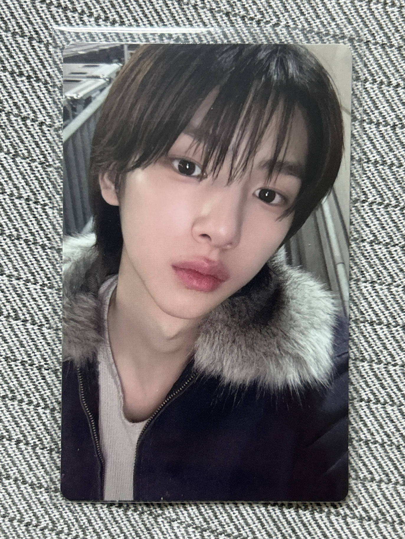 迷一 wvs 特典卡 2025年末禮