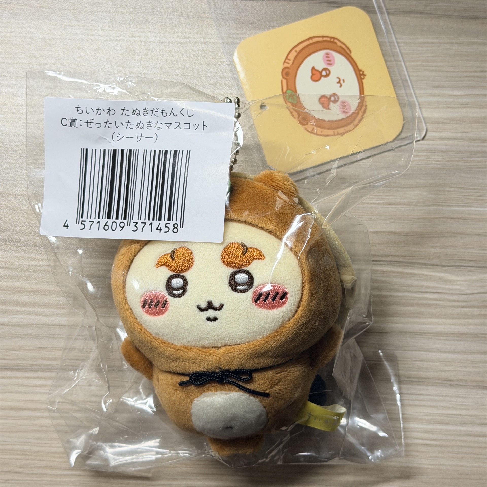 日版 狸貓c賞獅薩