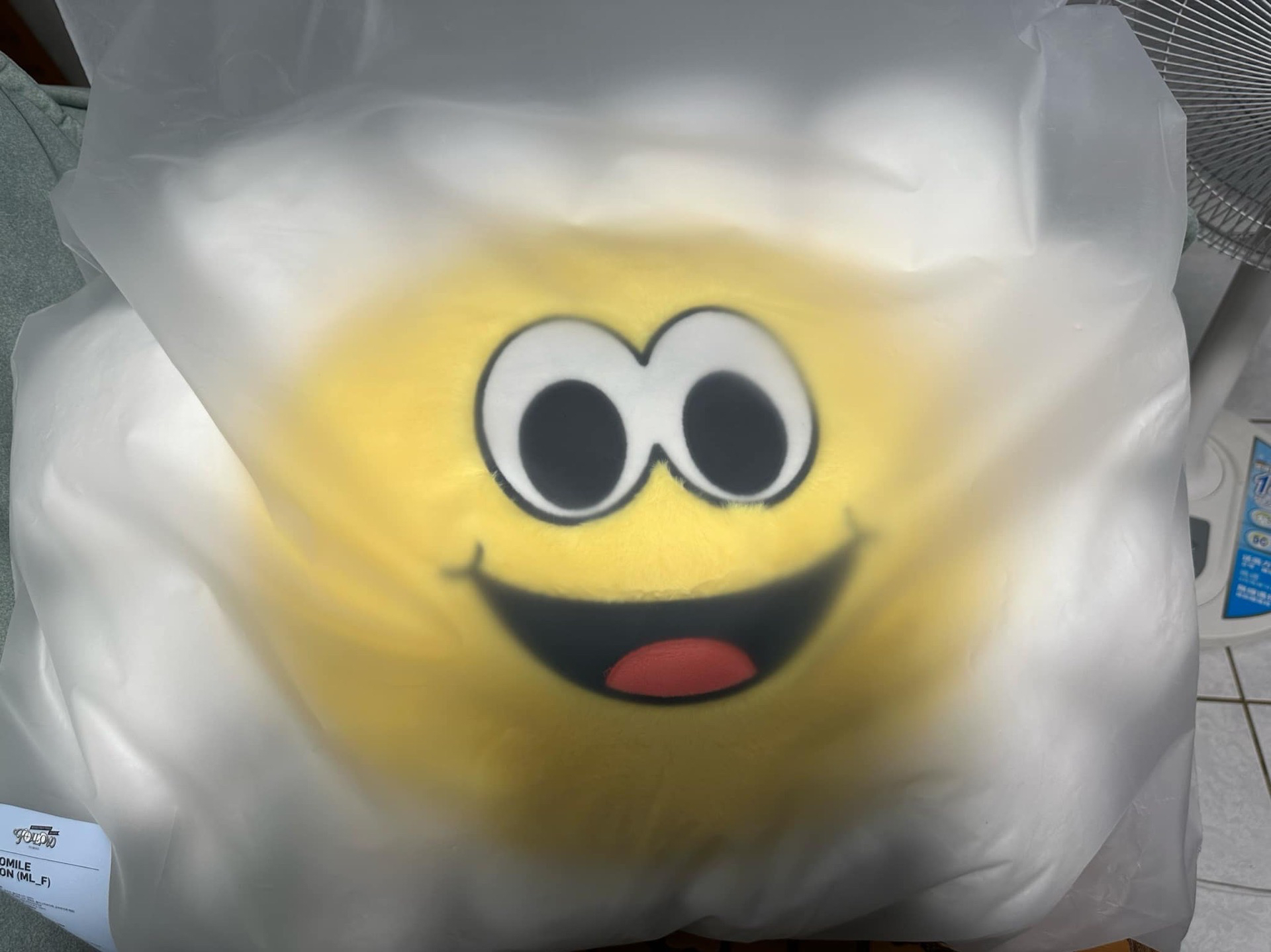 FOLLOW AGAIN 太陽花抱枕 大花花抱枕 坐墊