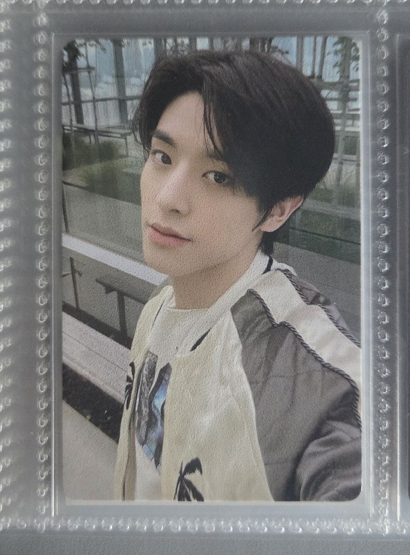 勇敢狗狗不怕困難