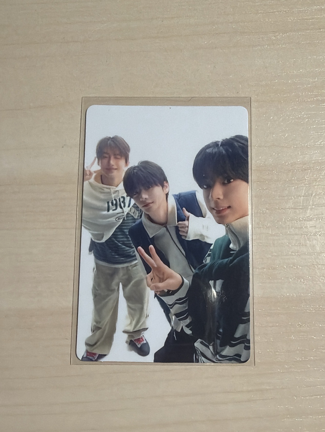 🐺🪼🦒 三人小卡