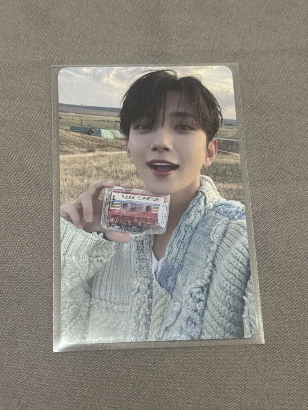 洪知秀 愛知場限