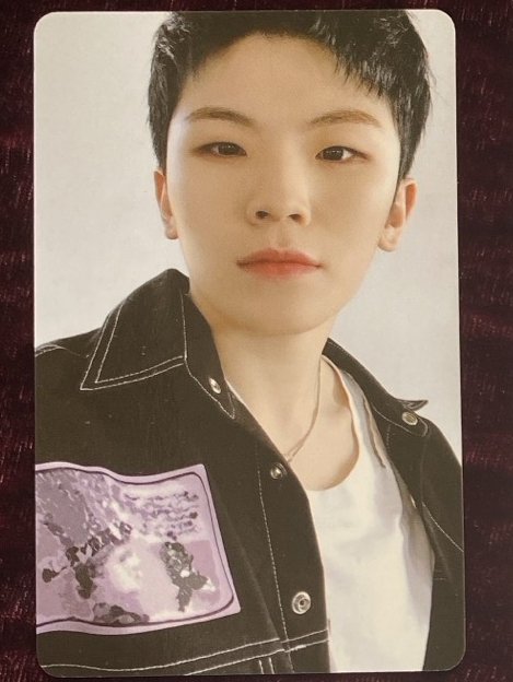 WOOZI - 2019 SEASONS GREETING  