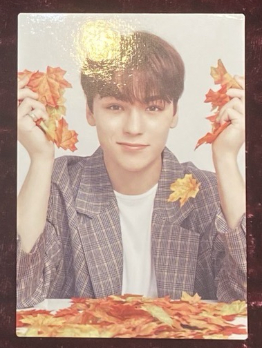 2019 Ode to You 隨機卡 3