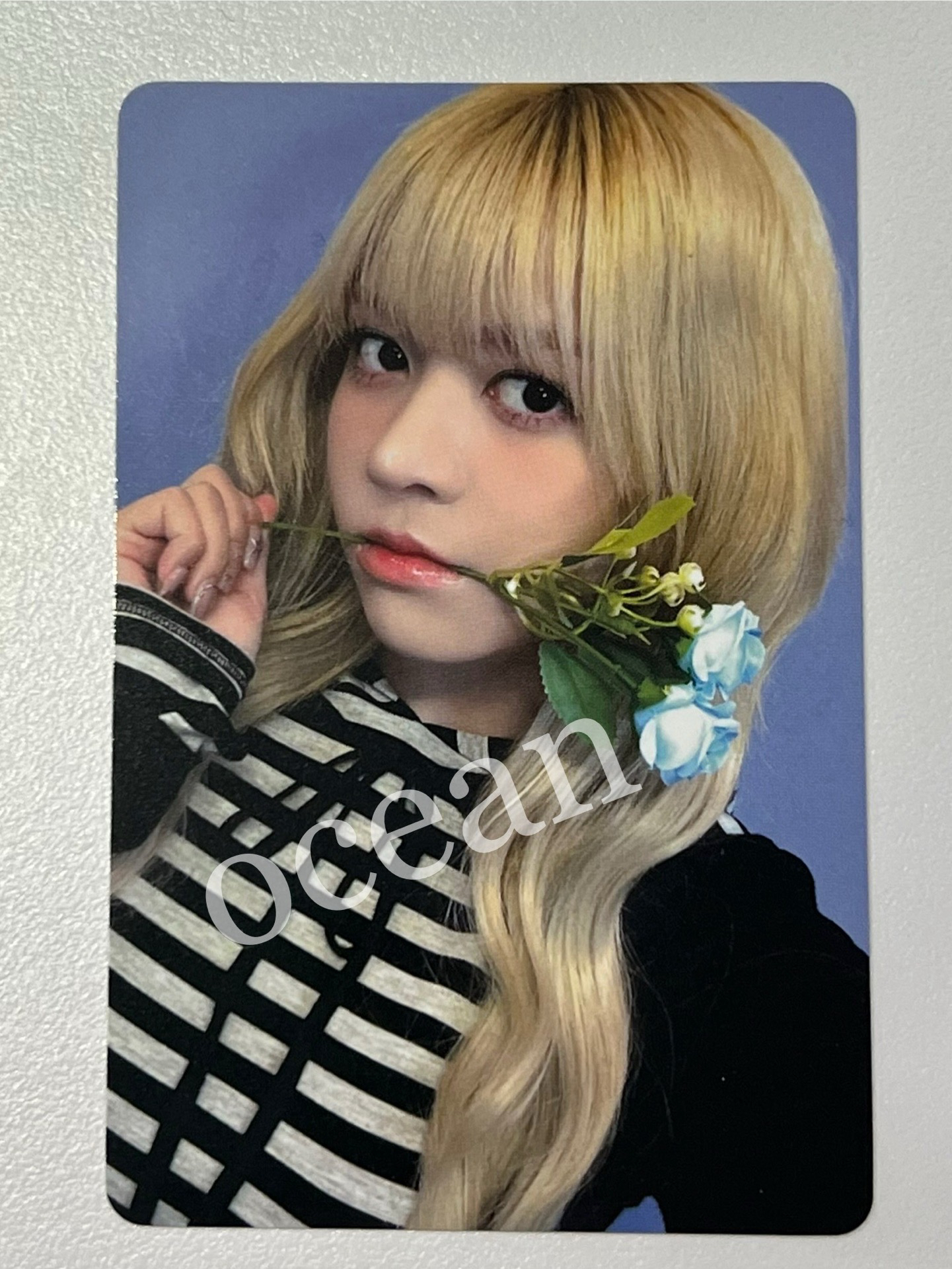 NMIXX 藍玫瑰km入場卡