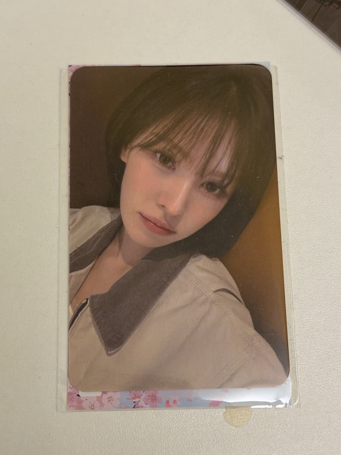 Wendy 櫻花季小卡