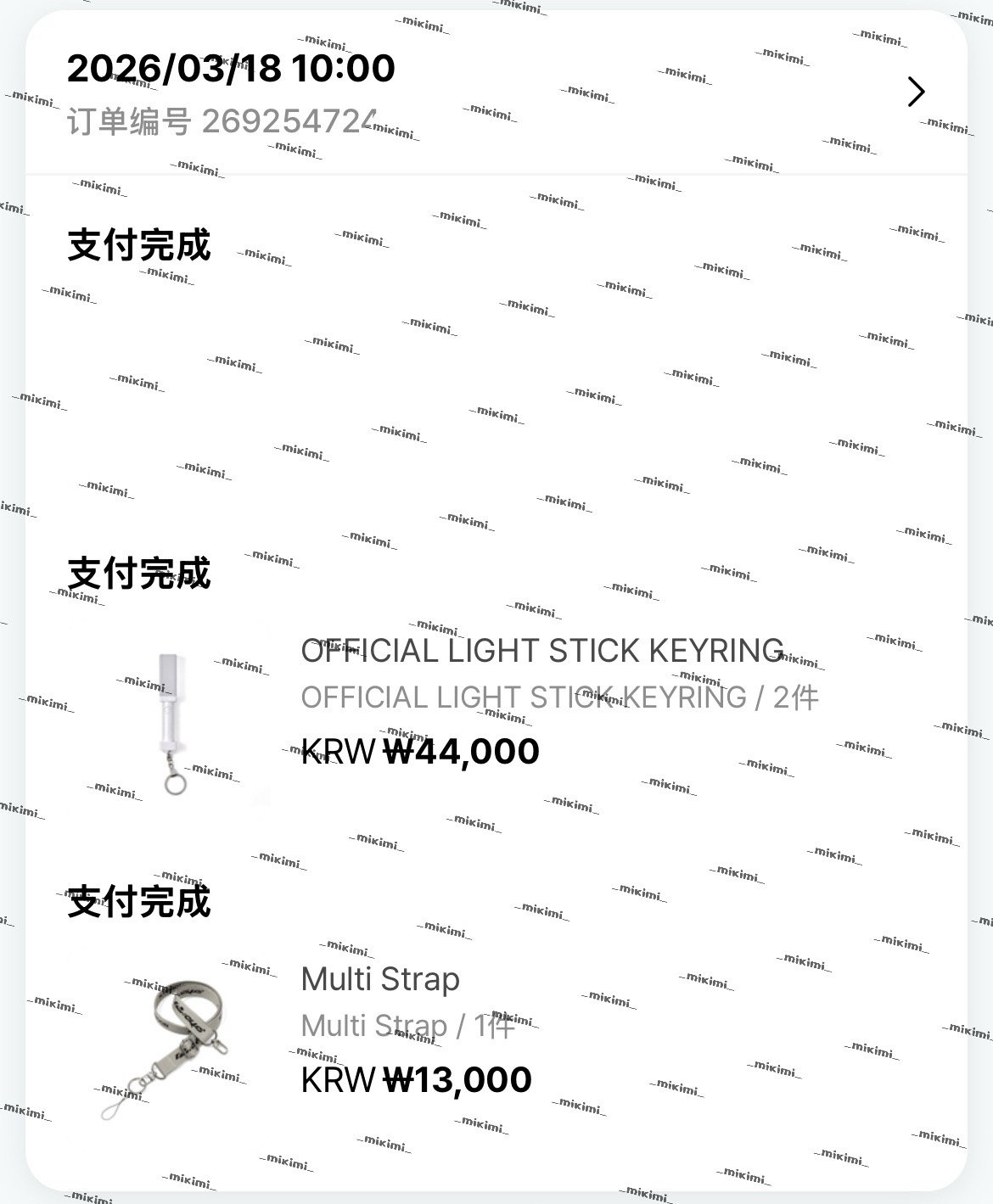 TWS小手燈&背袋 已購入