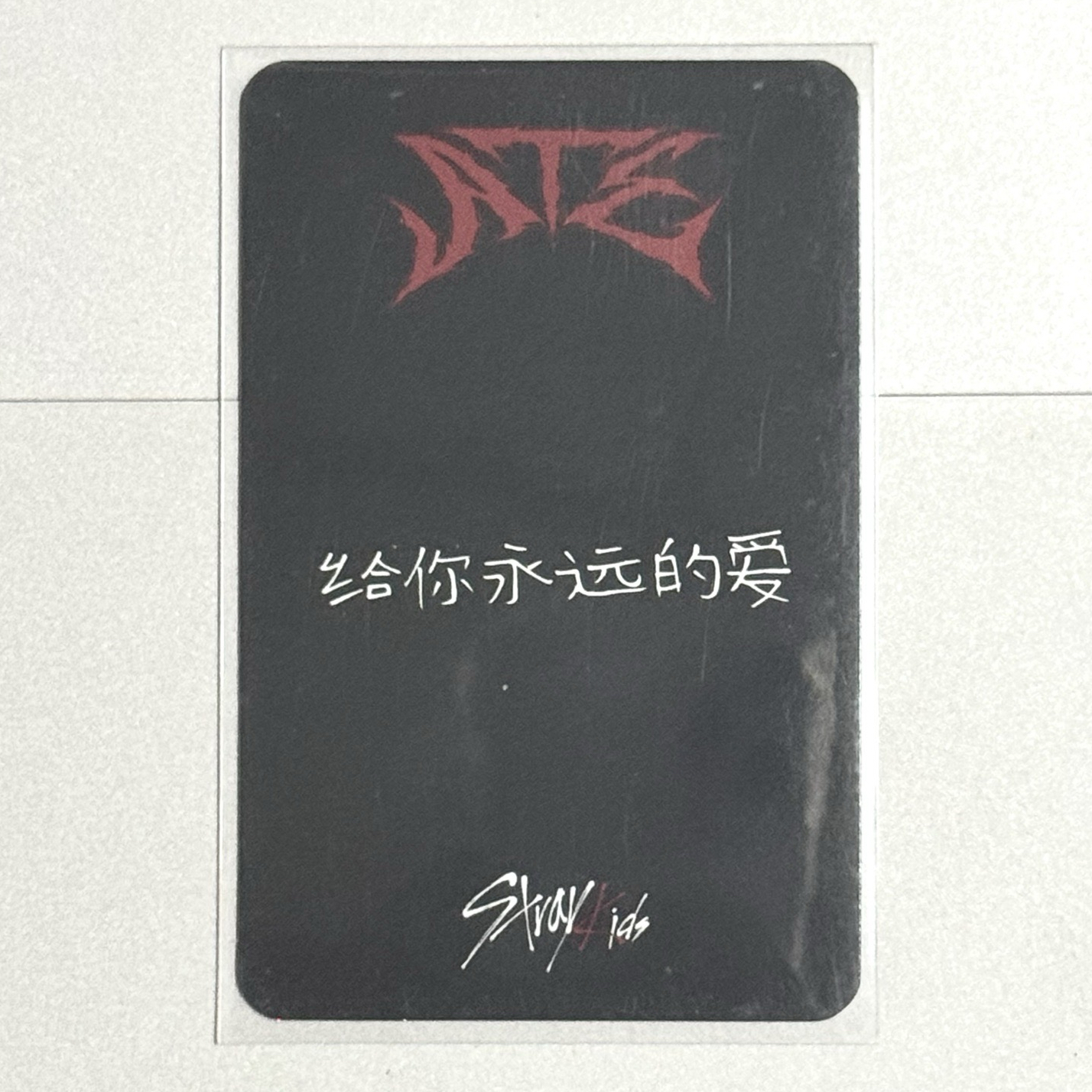 ATE星河中背特典菲🐥