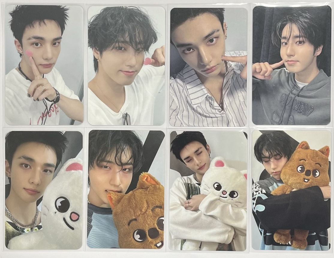 讓我來橙全妳的卡冊🍊