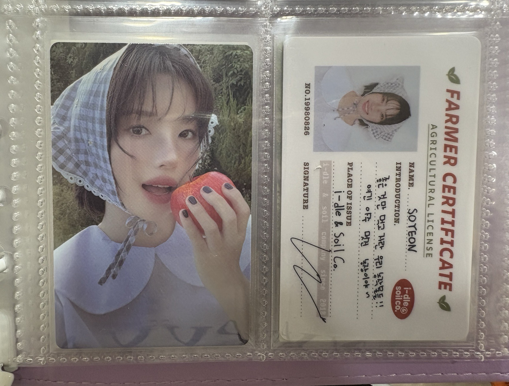 2026年曆固配-小娟小卡+id卡