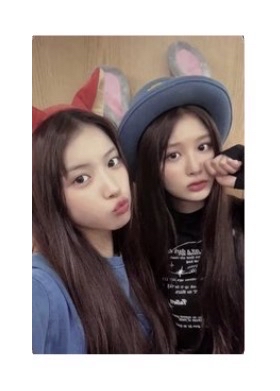 仲夏夜 ms 7.0 簽售卡 動物方城市 薛友雙人