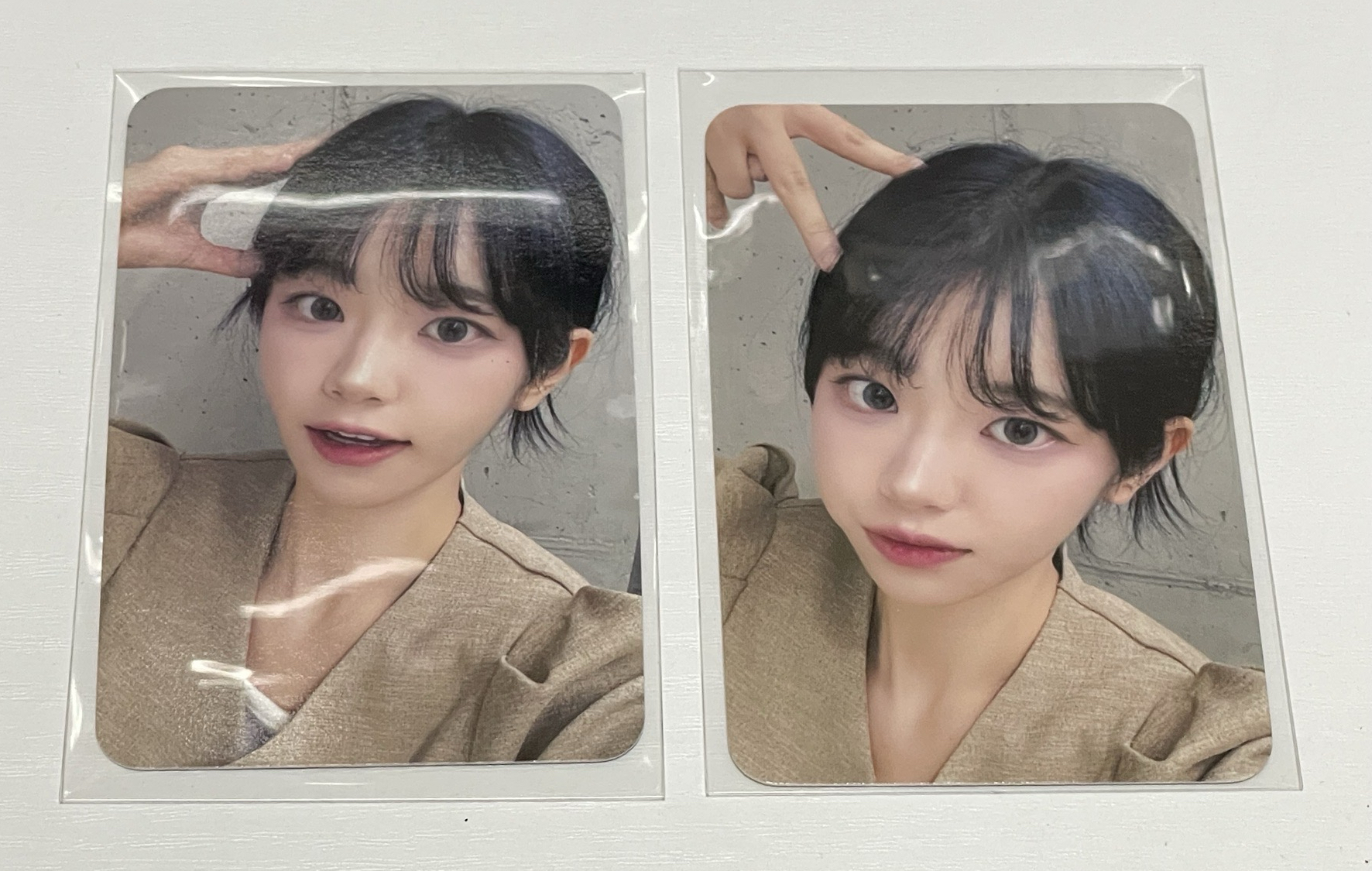 迷三 dmm 線上 1.0 小貓 小狗