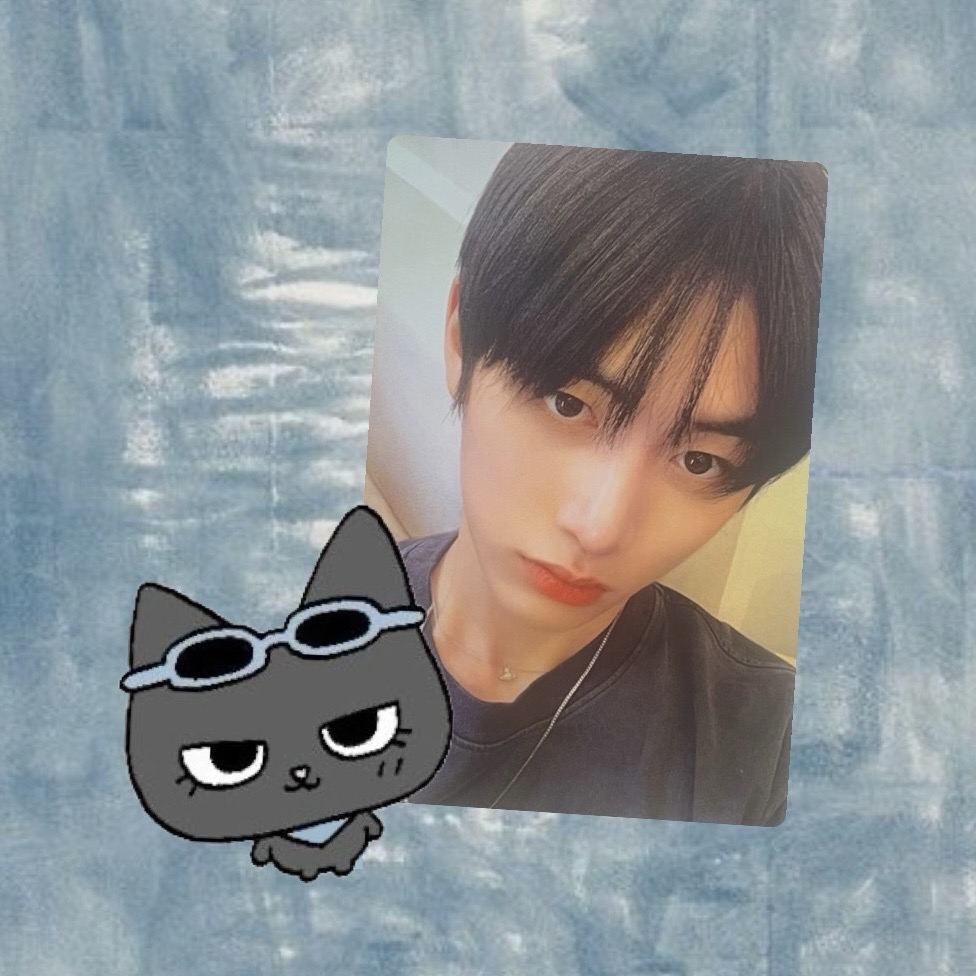 東咪小卡 .✦ ݁˖