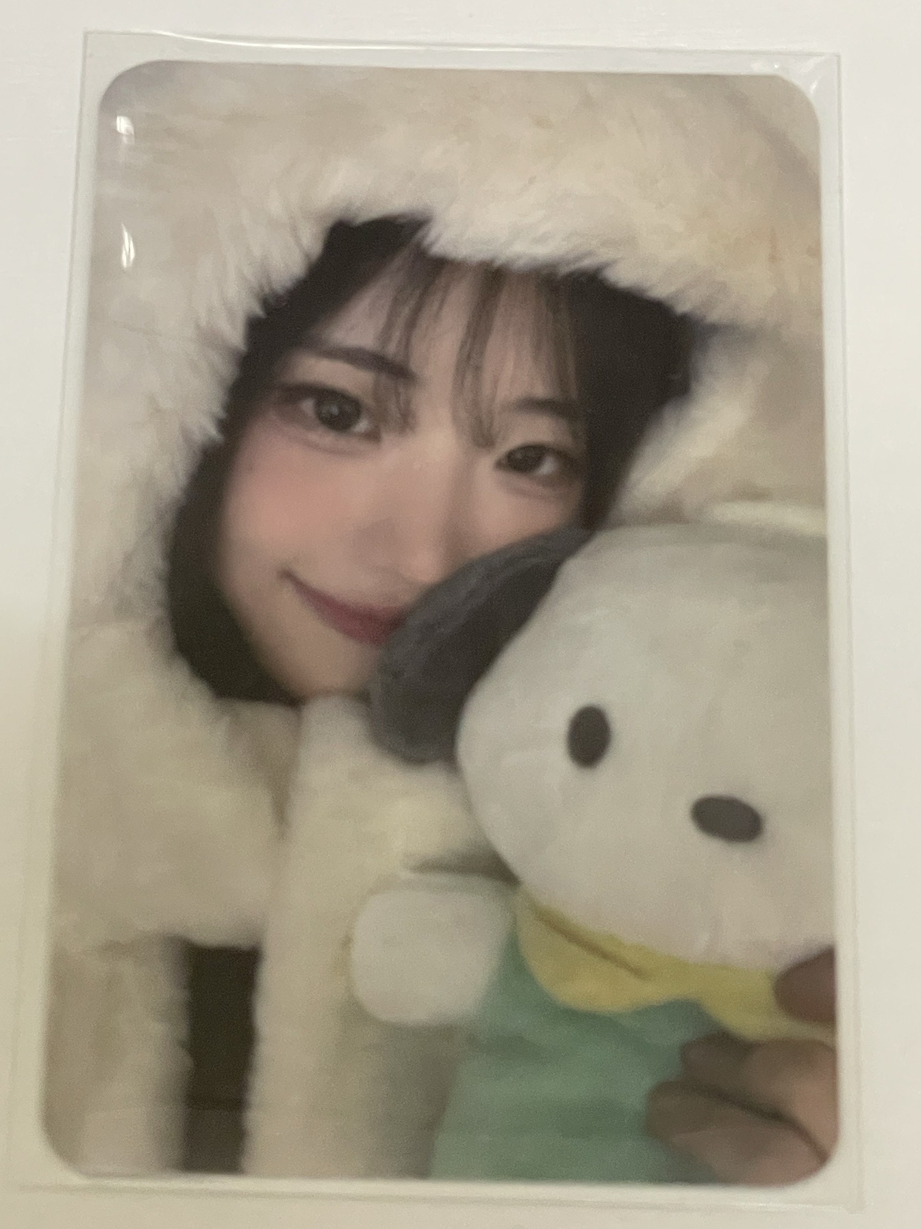 迷三 br 線上 4.0 簽售卡  帕恰狗