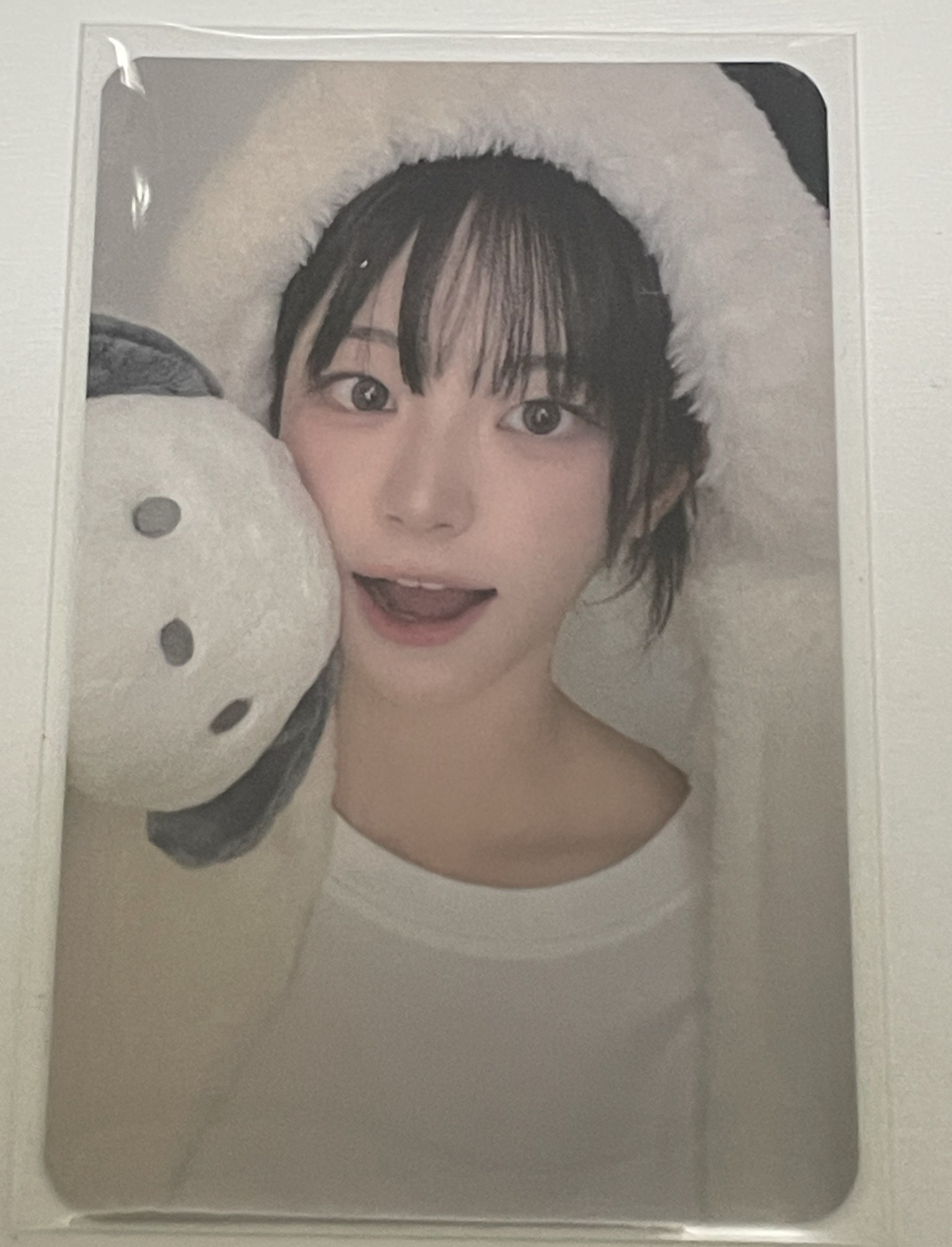 迷三 br 線上 4.0 簽售卡 帕恰狗