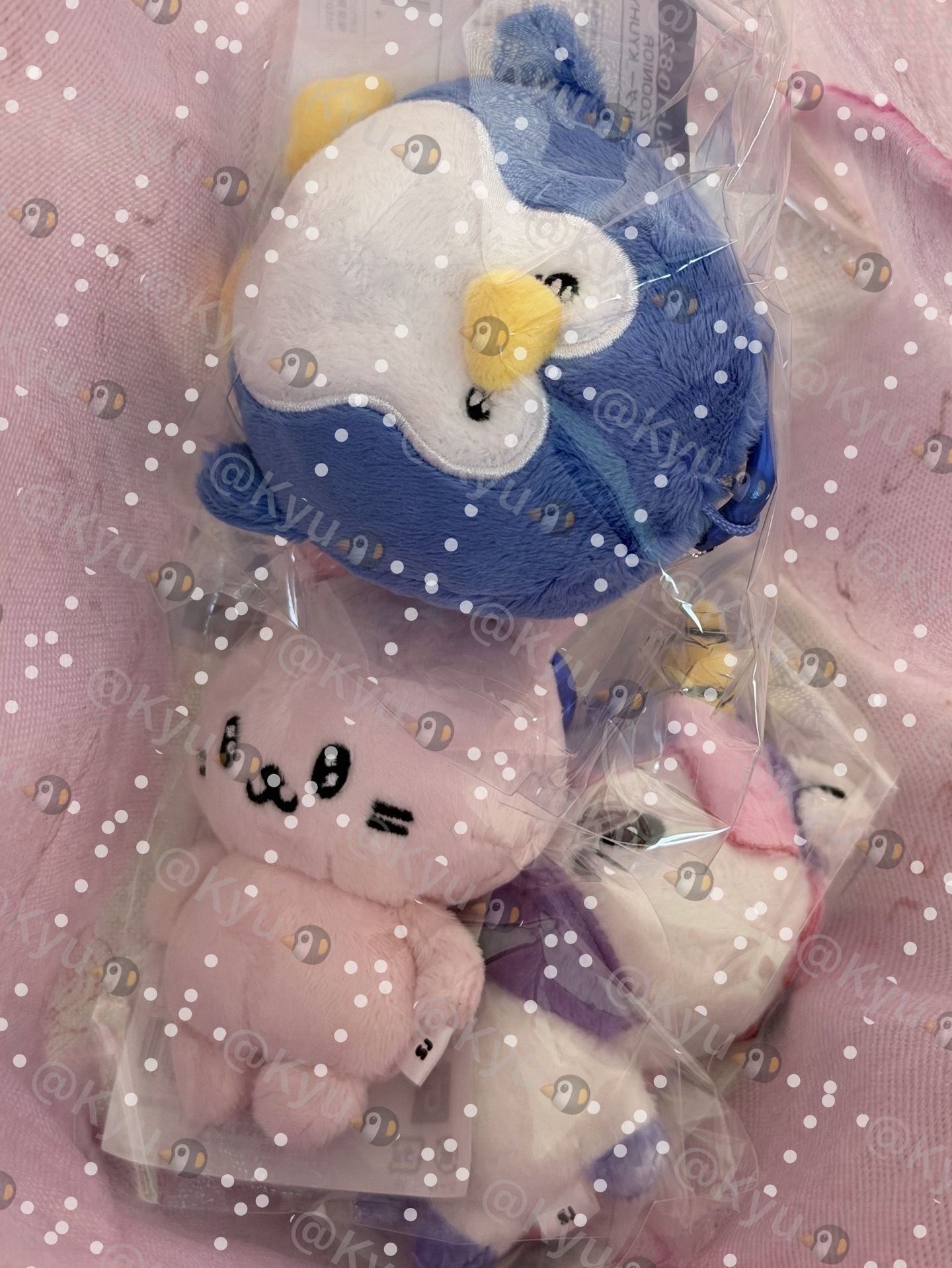 SS10 日周娃 圭賢企鵝