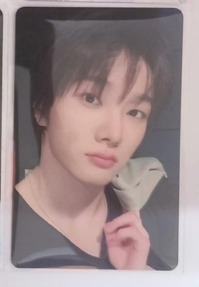 no genre 成淏 塔店幸運卡