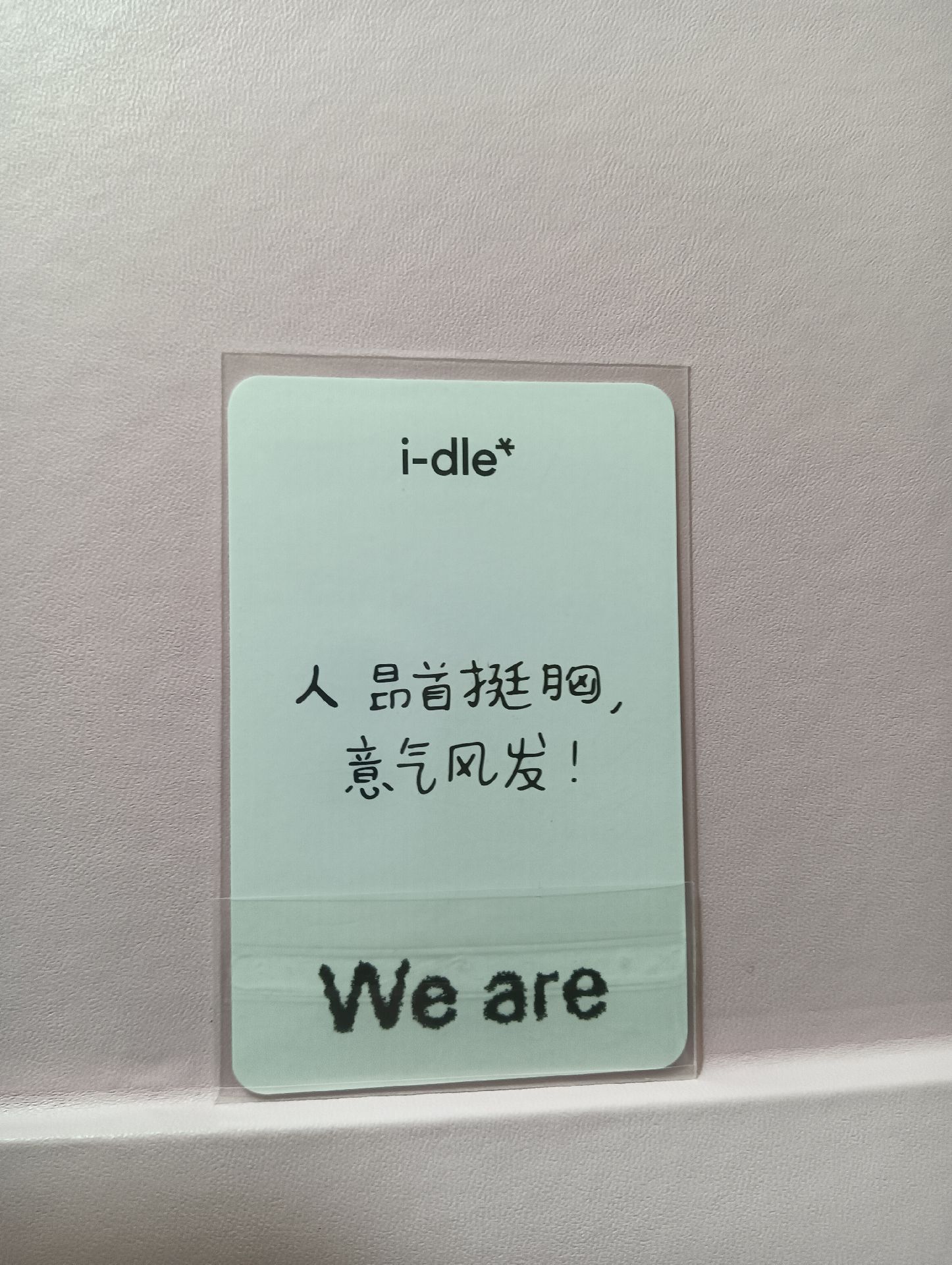 we are貓抓麵中背