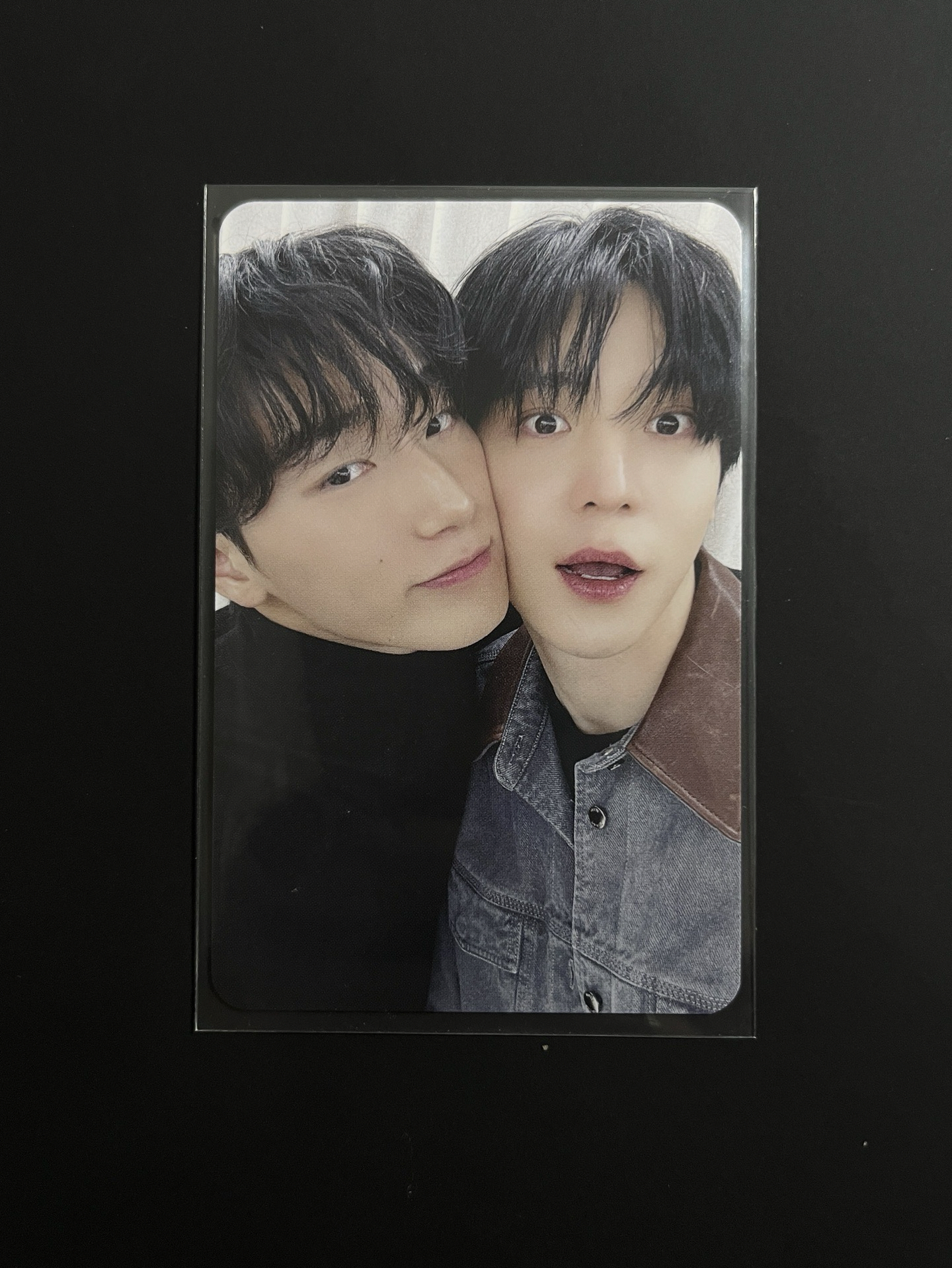 狗狗貓貓貼貼🐶🐱