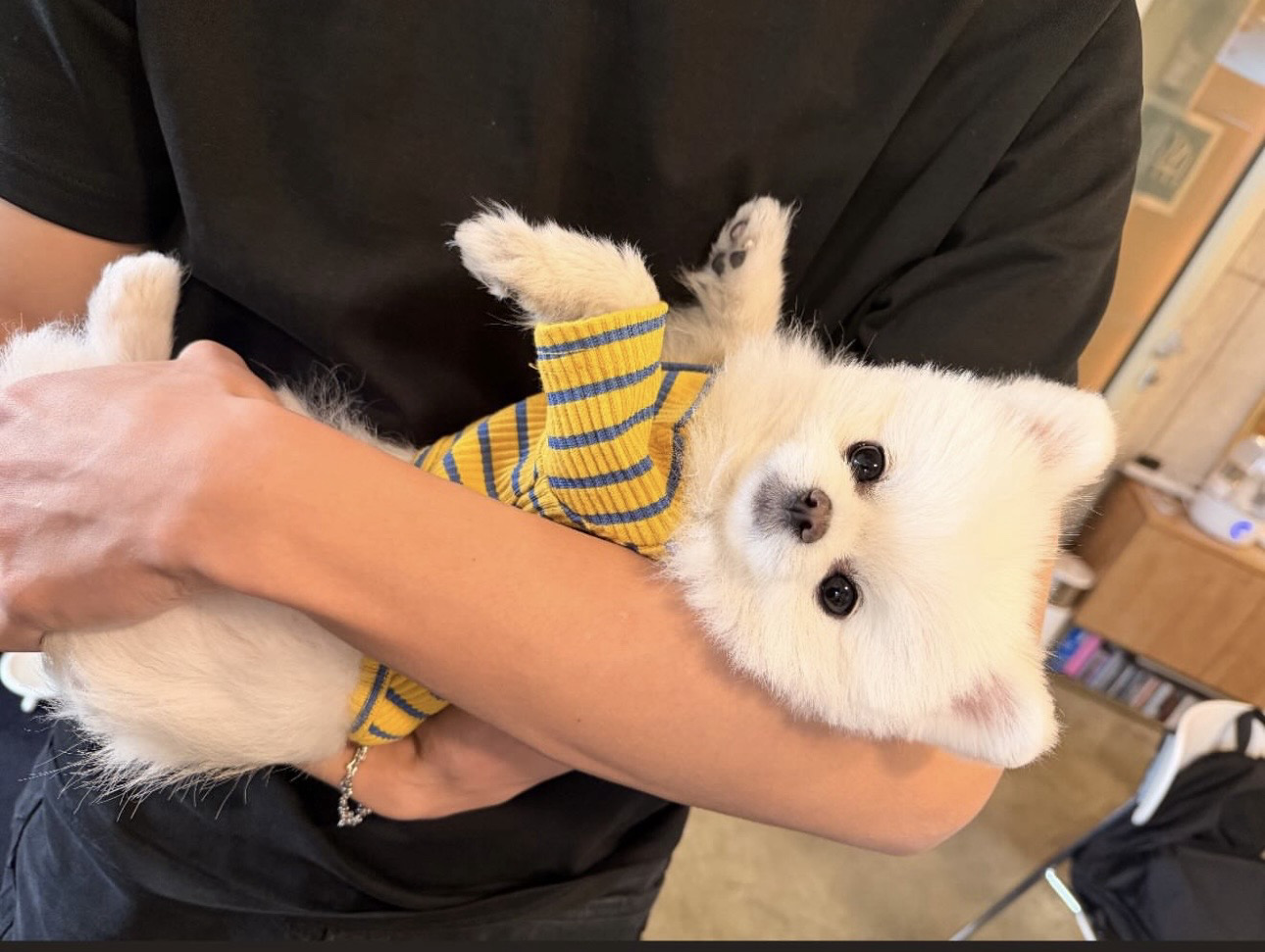 Hui。🏴‍☠️🩵