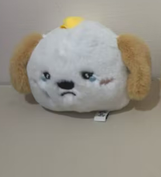 Riize 狗龍 上海快閃娃 Anton 不嘻嘻ver.