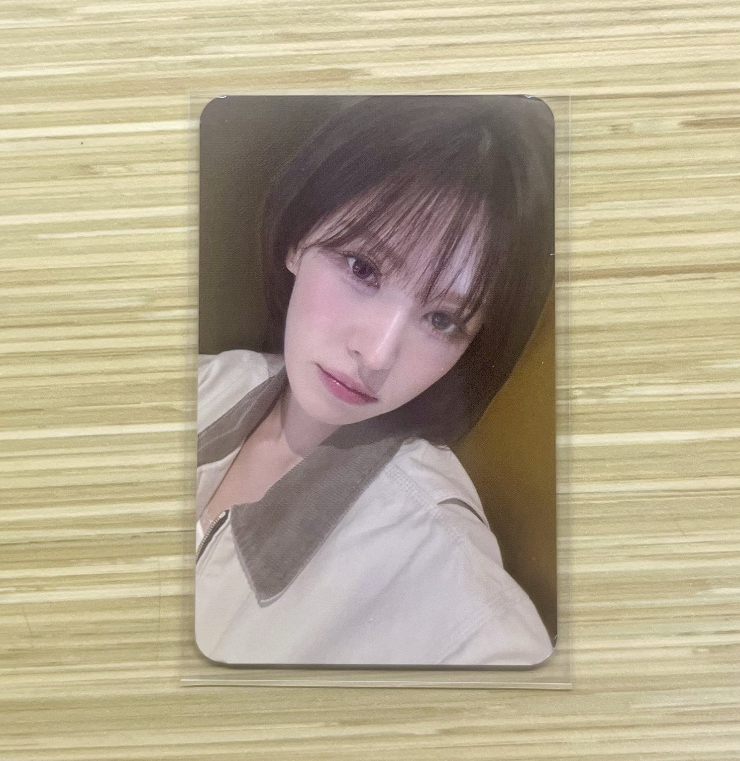 Wendy 櫻花季入場小卡