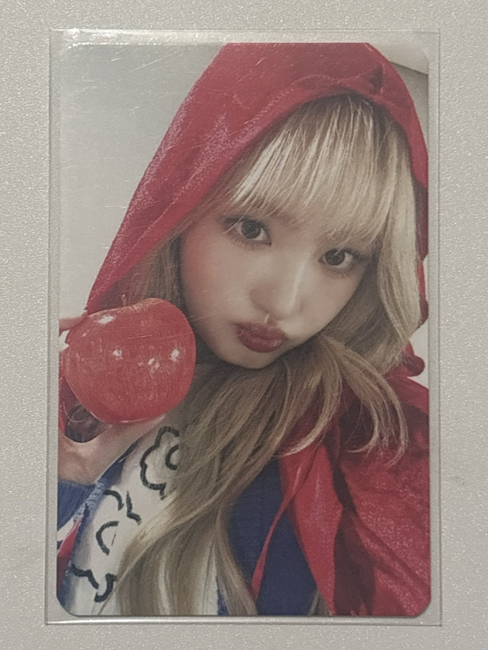 ms 小紅帽栗（蘋果栗）