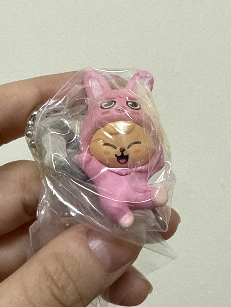 帕皮穿豬兔